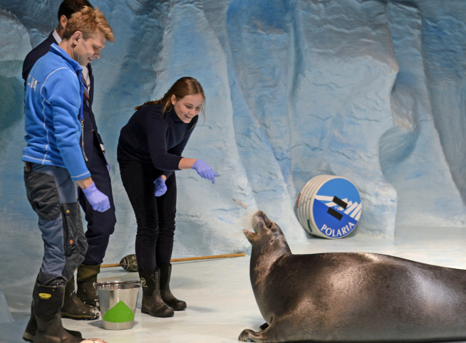 Prinsessen fikk mate sel på Polaria. Foto: Rune Stoltz Bertinussen / NTB scanpix