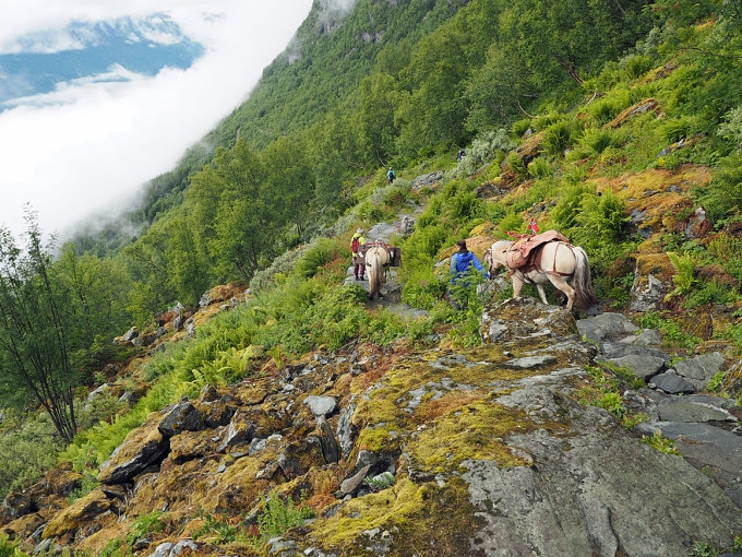Dronningstien i Hardanger. Foto: Liv Anette Luane, Det kongelege hoff