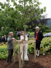 Ulvik: Treplanting