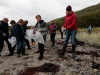Steigen: Strandrydding