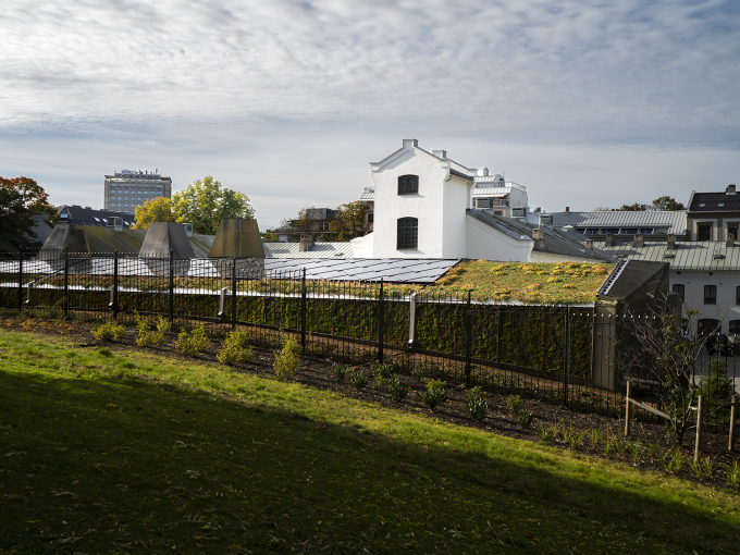 Logistikkbygget er plassert inn i bakken mot Dronningparken. Taket er dekket med skiferliknende solceller, sedum og veggen mot parken er også kledd mose. Sett fra parken, er ikke bygget så lett å få øye på. Foto: Cornelius Poppe, NTB