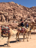 Petra
