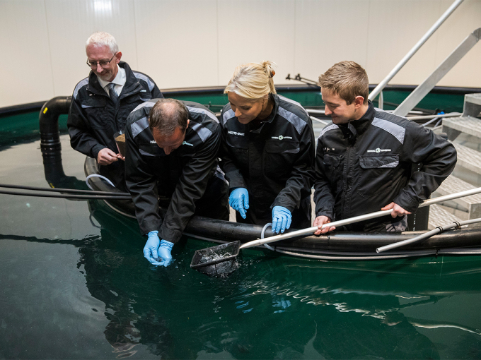 Kronprinsparet ser nærmere på rognkjeksen. Foto: Berit Roald, NTB scanpix
