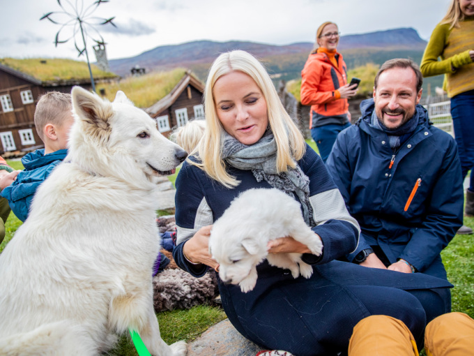 Kronprinsparet helsar på nokre av hundane. Foto: Stian Lysberg Solum / NTB scanpix