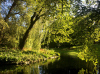 Dronningparken: Sensommer