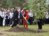 Plante tre