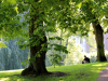 Dronningparken: Fred