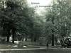 Dronningparken: Historie 