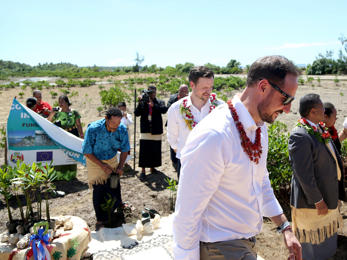 På 'Ahau Beach planter lokalbefolkningen mangrover for å binde jordsmonnet og gjøre kystlinjen mer motstandsdyktig. Foto: Karen Setten / NTB scanpix