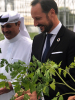 Qatar: Drivhus