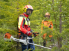Skogdag i Våler og Åsnes