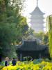 Suzhou: Hagen