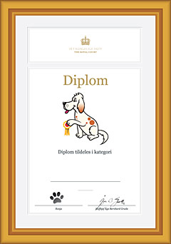 diplombilde